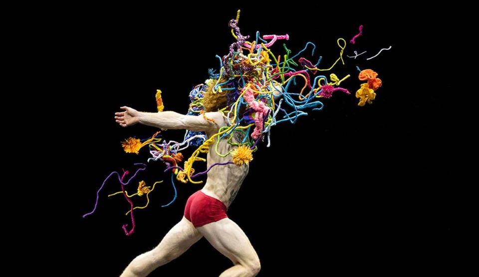 Wayfinder – Adelaide Festival 2024 Review