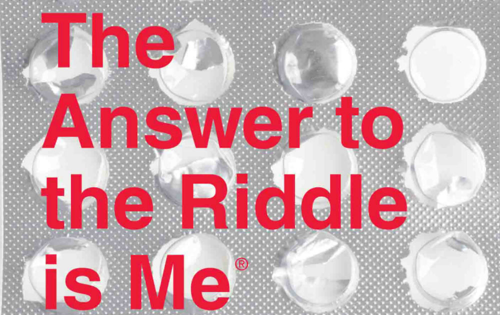 THE ANSWER TO THE RIDDLE IS ME: When Losing Your Memory Means Losing Everything – Book Review