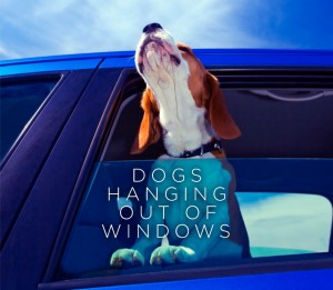 Dogs Hanging Out Of Windows - Hachette - The Clothesline