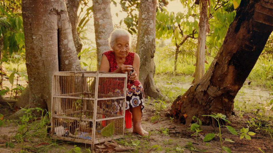 Joshua Oppenheimer: The Look Of Silence… A Sobering And Unbelievably Honest Documentary – OzAsia Film Festival Review