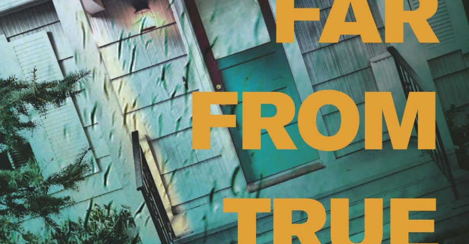 linwood barclay far from true