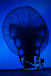 shadowland-jellyfish-pilobolus-image-by-emmanuel-donny-the-clothesline