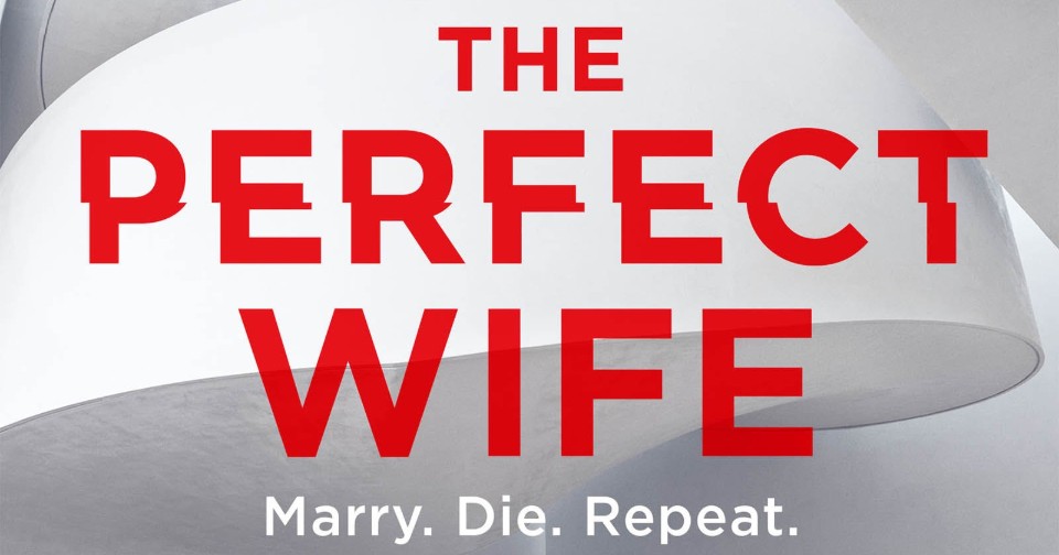 THE PERFECT WIFE by JP Delaney: The Ghost In The Machine ~ Book Review