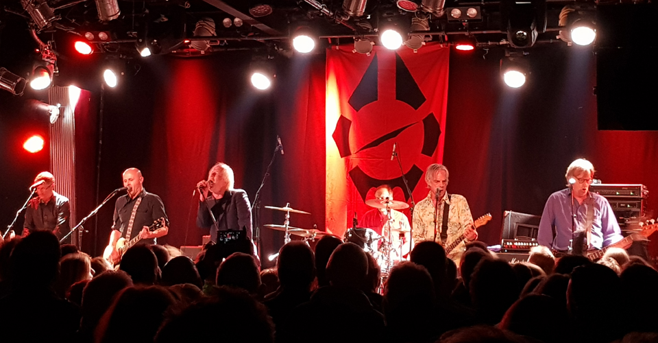 Radio Birdman: Still Doing It Their Way ~ Live Review