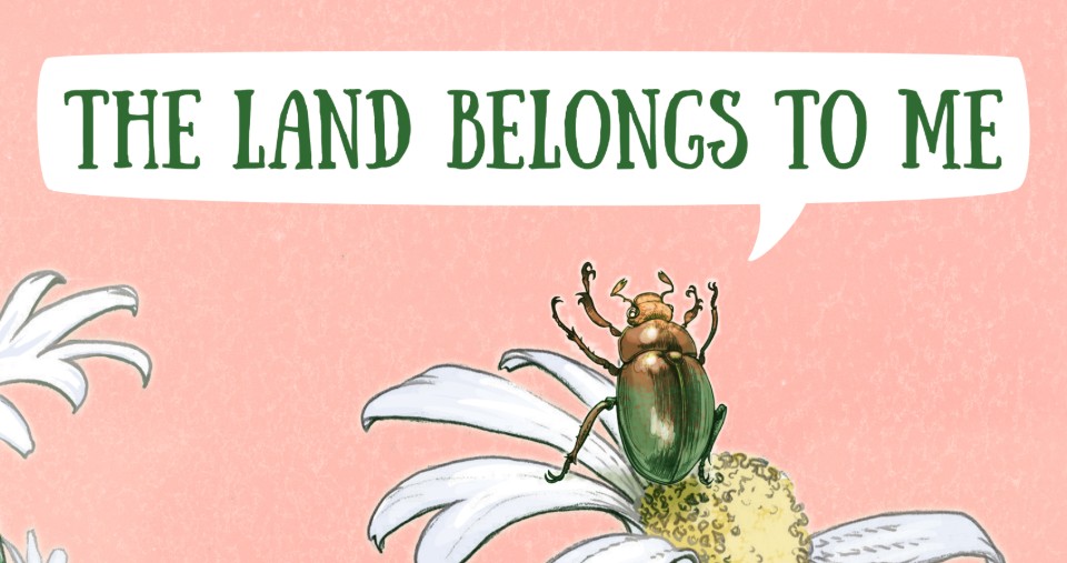 THE LAND BELONGS TO ME by Alys Jackson and Shane McGrath: Trouble Afoot On The Farm ~ Book Review