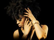 Simply The Best: The Music Of Tina Turner Performed By Cleopatra Higgins ~ Adelaide Fringe 2020 Interview