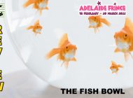 The Fish Bowl: A Wild Ride ~ Adelaide Fringe 2022 Review