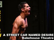 A Streetcar Named Desire: Classic Tennessee Williams; A Fitting Farewell To Adelaide’s Bakehouse Theatre ~ Theatre Review