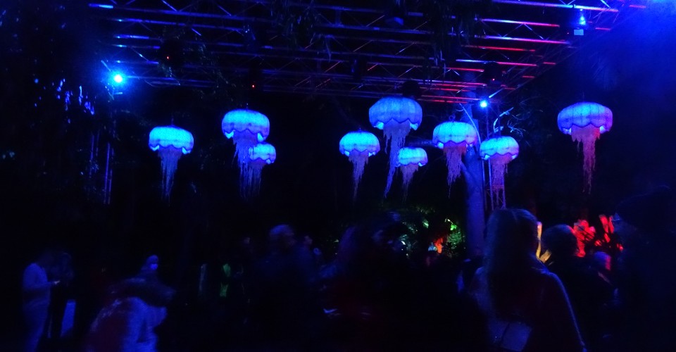 Light Creatures @ Adelaide Zoo: Illuminated Family Fun In The Wild ~ Festival Review
