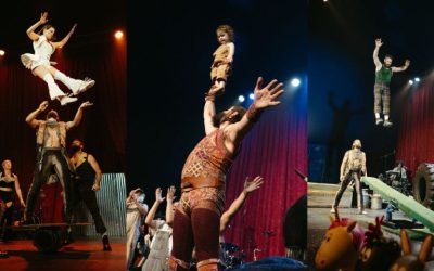 Circus Alfonse – Animal: Live Music, Brilliant Acrobatics And Hilarious Farm Antics ~ Adelaide Fringe 2024 Review