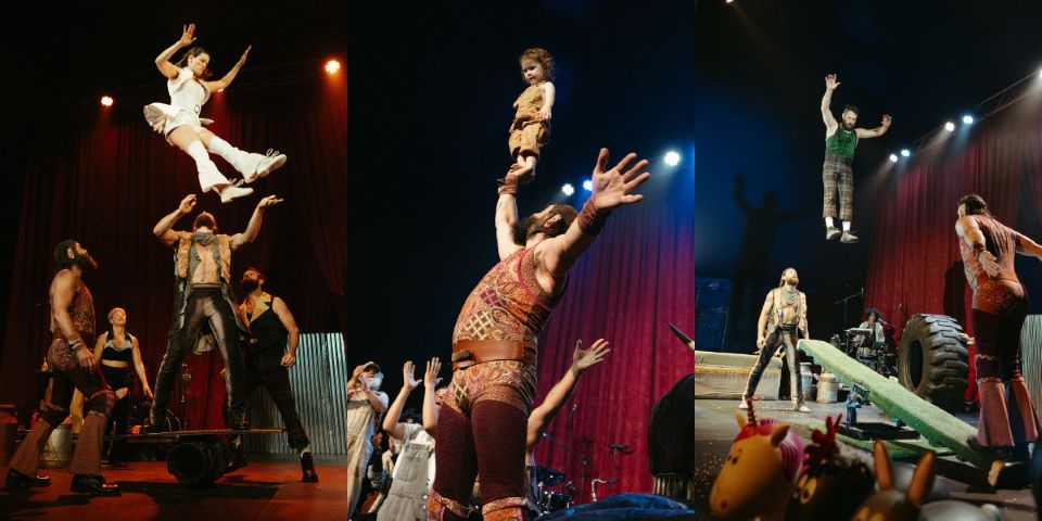 Circus Alfonse – Animal: Live Music, Brilliant Acrobatics And Hilarious Farm Antics ~ Adelaide Fringe 2024 Review